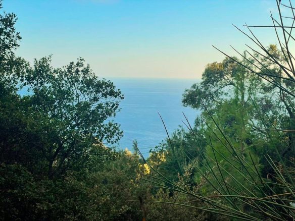 Land Parcel 1376 M² Available In Corfu Region