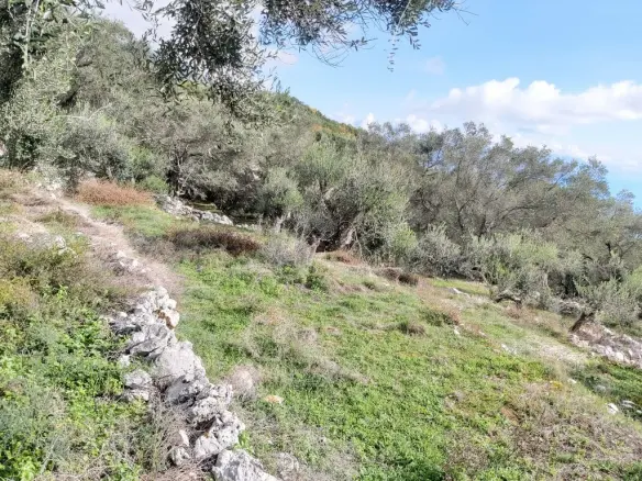 Plot Of 9500 M² With Coastal Access In Corfu