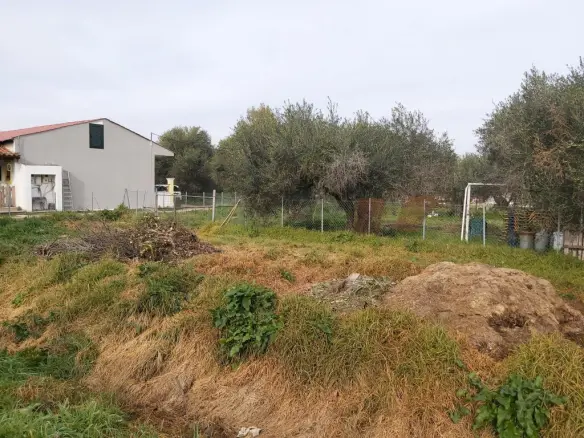 Plot Of Land 2307 M² Located In Corfu Region