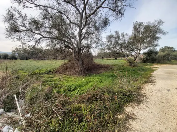 Land Parcel Of 2078 M² Available In Corfu Region
