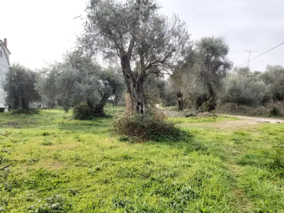 Plot Of Land 2307 M² Located In Corfu Region