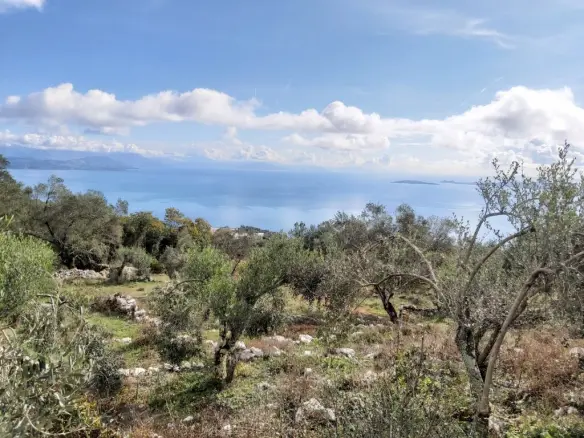 Plot Of 9500 M² With Coastal Access In Corfu