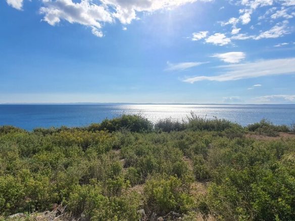 Land Opportunity 4913 M² In Sithonia Chalkidiki Region