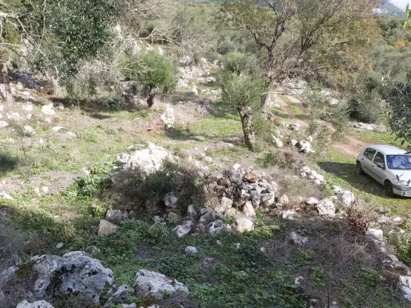 Plot Of 9500 M² With Coastal Access In Corfu