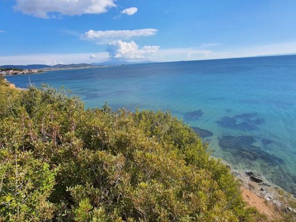Land Opportunity 4913 M² In Sithonia Chalkidiki Region