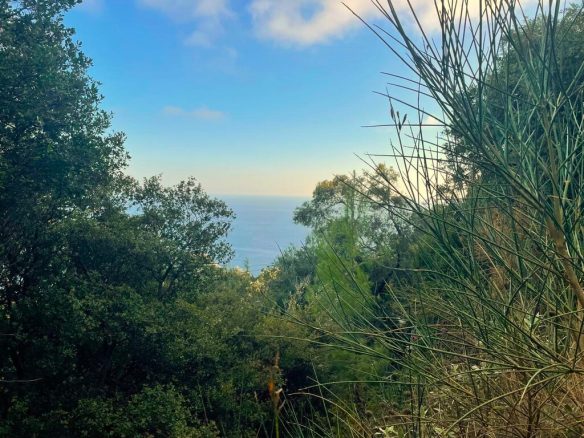 Land Parcel 1376 M² Available In Corfu Region