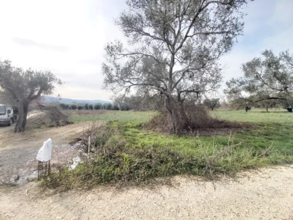 Land Parcel Of 2078 M² Available In Corfu Region