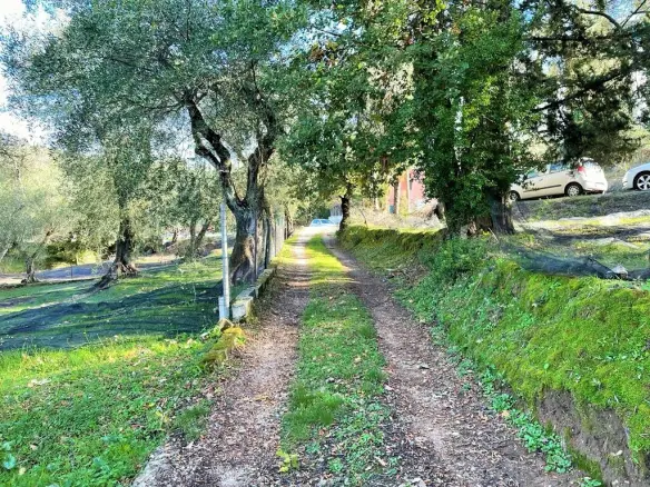 2-bedroom Detached House In Corfu, Greece (190 M²)