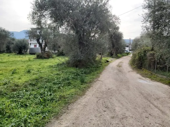 Plot Of Land 2307 M² Located In Corfu Region