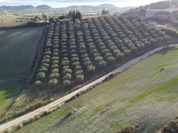 Land Parcel 5625 M² Located In Sithonia, Chalkidiki