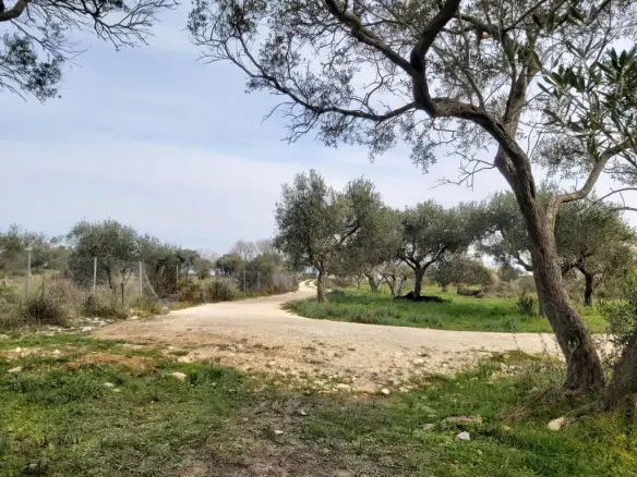 Land Parcel 2078 M² Located In Corfu Island