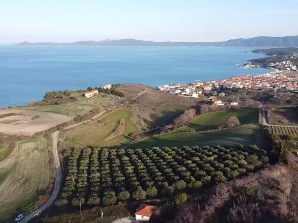 Land Parcel 5625 M² Located In Sithonia, Chalkidiki