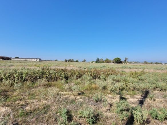 Land Plot 9000 M² Available In Thessaloniki Suburbs