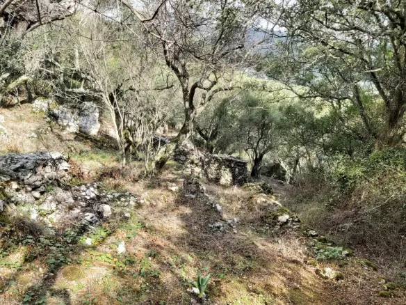 Plot Of 9500 M² With Coastal Access In Corfu