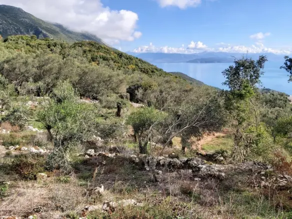 Plot Of 9500 M² With Coastal Access In Corfu