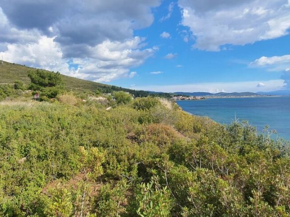 Land Opportunity 4913 M² In Sithonia Chalkidiki Region