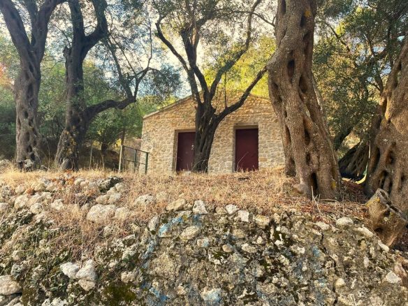Land Plot Of 1035 M² Available In Corfu