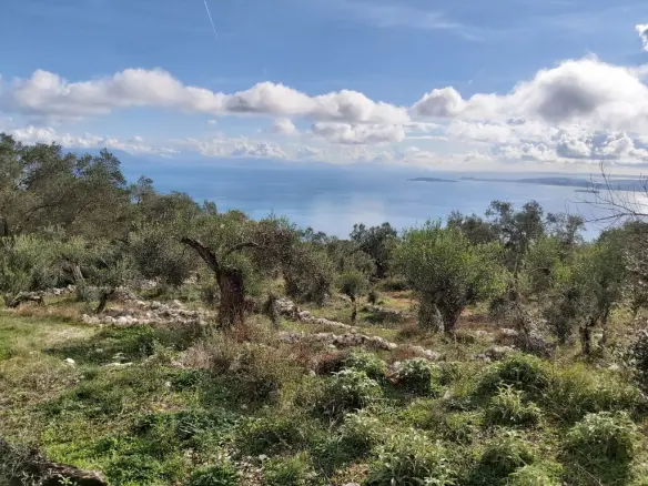 Plot Of 9500 M² With Coastal Access In Corfu