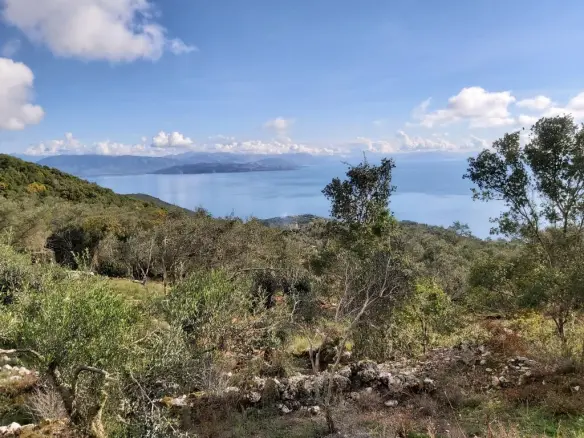 Plot Of 9500 M² With Coastal Access In Corfu