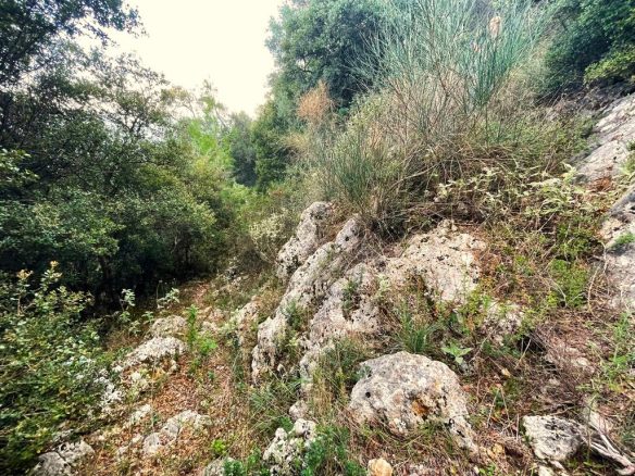 Land Parcel 1376 M² Available In Corfu Region