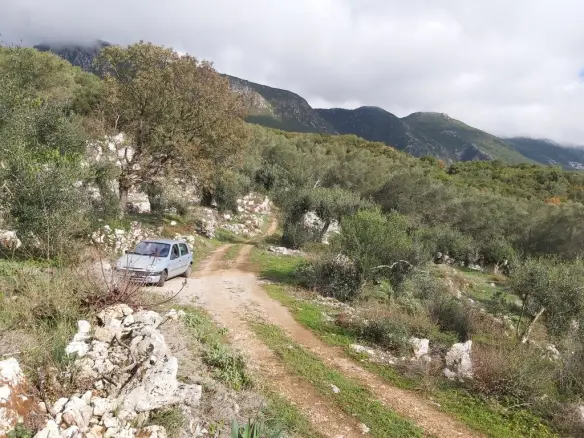 Plot Of 9500 M² With Coastal Access In Corfu