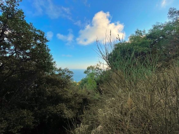 Land Parcel 1376 M² Available In Corfu Region