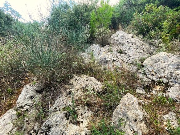 Land Parcel 1376 M² Available In Corfu Region