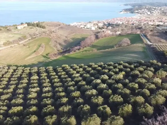 Land Parcel 5625 M² Located In Sithonia, Chalkidiki