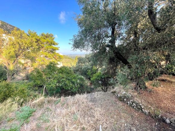 Land Plot Of 1035 M² Available In Corfu
