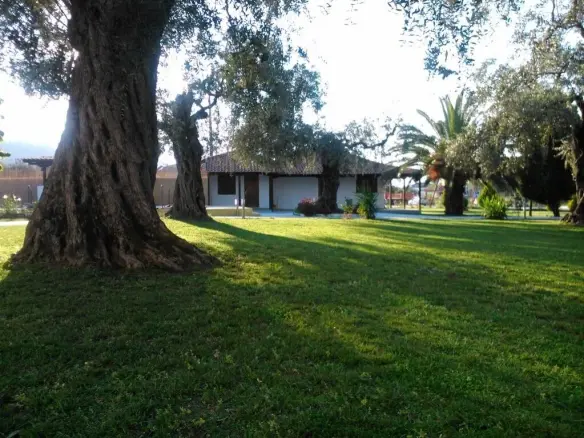 Hotel Property 250 M² Located On Thassos Island