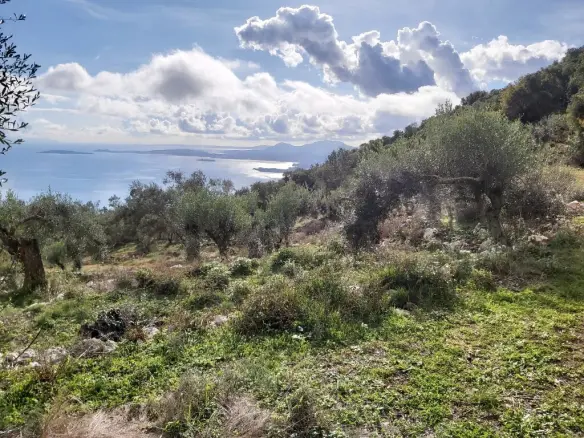 Plot Of 9500 M² With Coastal Access In Corfu