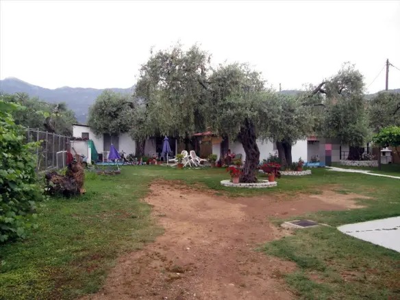 Hotel Property 250 M² Located On Thassos Island