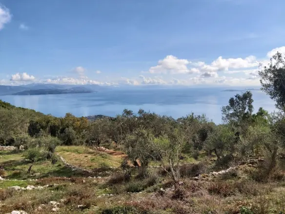 Plot Of 9500 M² With Coastal Access In Corfu
