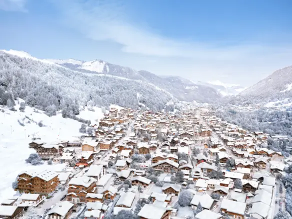 1 Bedroom Ski Apartment In Haute-savoie Close To Morzine