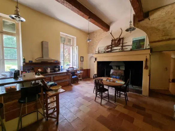 Aude. Authentic 16th Century Château, 3 Independent Cottages. 14 Acres.