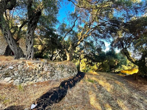 Land Plot Of 1035 M² Available In Corfu