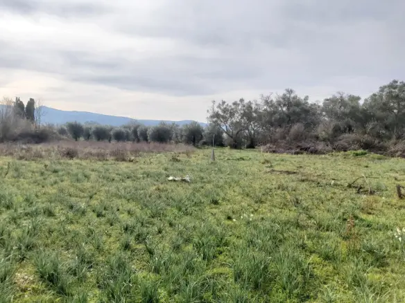 Land Parcel Of 2078 M² Available In Corfu Region