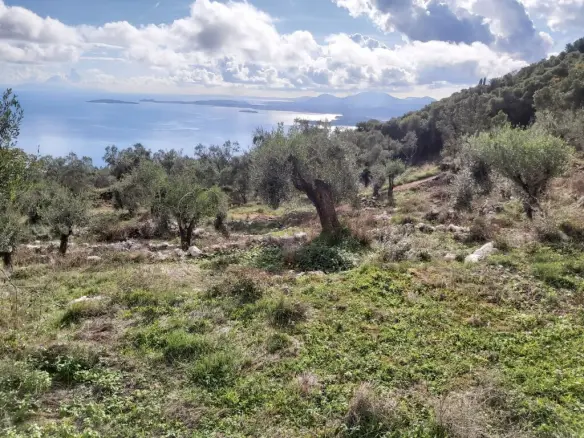 Plot Of 9500 M² With Coastal Access In Corfu