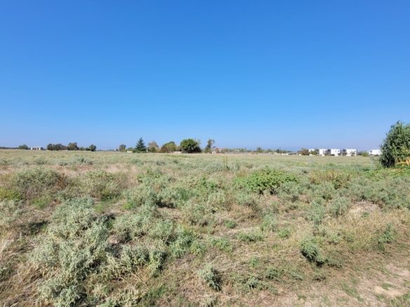 Land Plot 9000 M² Available In Thessaloniki Suburbs
