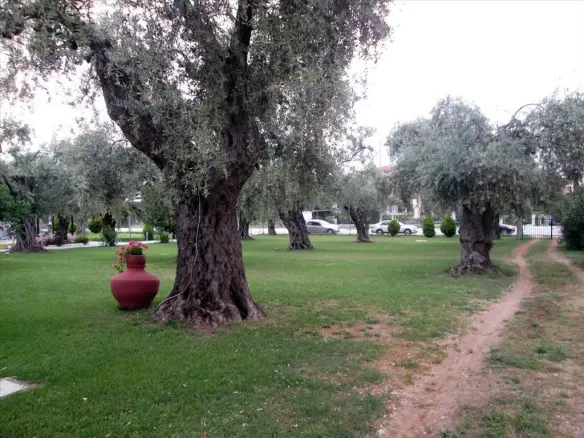 Hotel Property 250 M² Located On Thassos Island