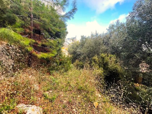 Land Parcel 1376 M² Available In Corfu Region