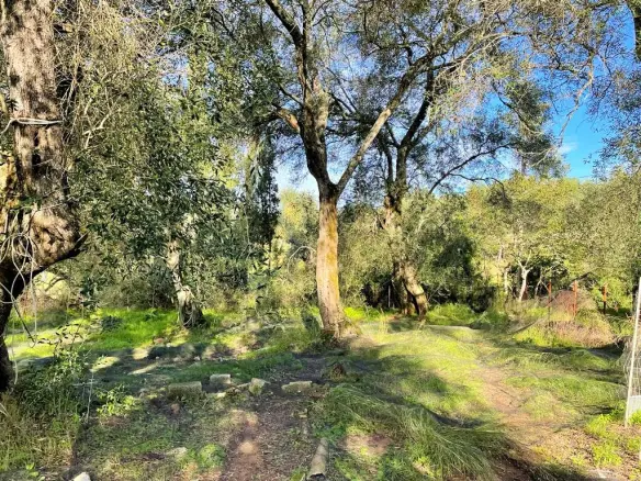 2-bedroom Detached House In Corfu, Greece (190 M²)