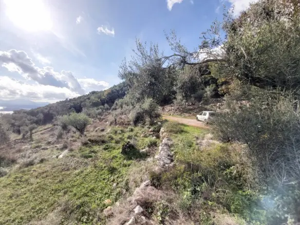 Plot Of 9500 M² With Coastal Access In Corfu
