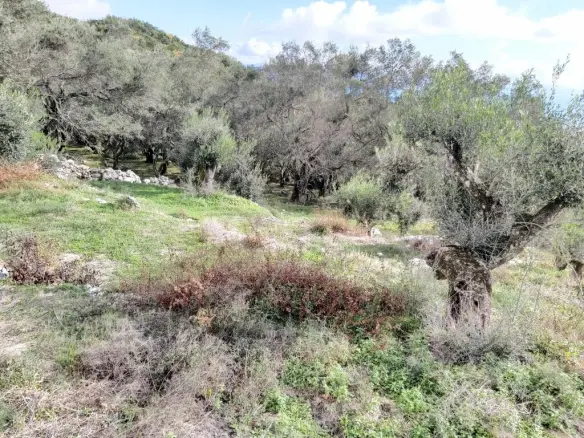 Plot Of 9500 M² With Coastal Access In Corfu