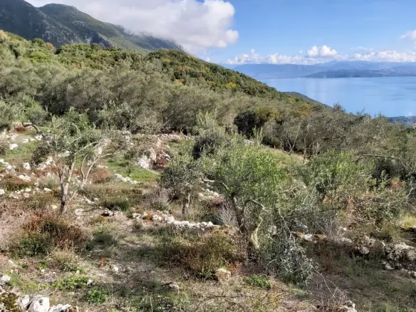 Plot Of 9500 M² With Coastal Access In Corfu