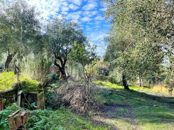 2-bedroom Detached House In Corfu, Greece (190 M²)