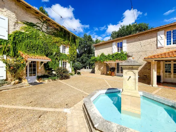 11-bedroom Mill In Chenon, France (540 M²)