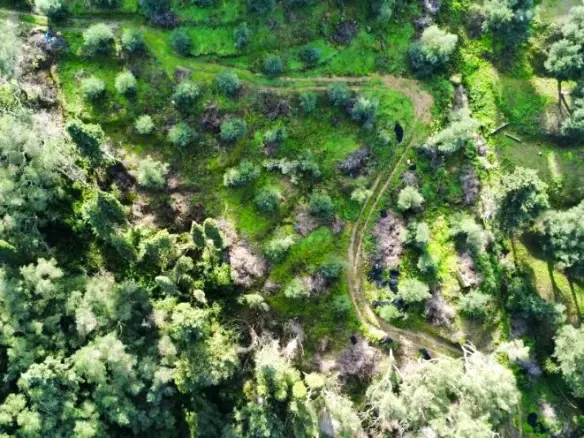 7000 M² Plot Available In Corfu