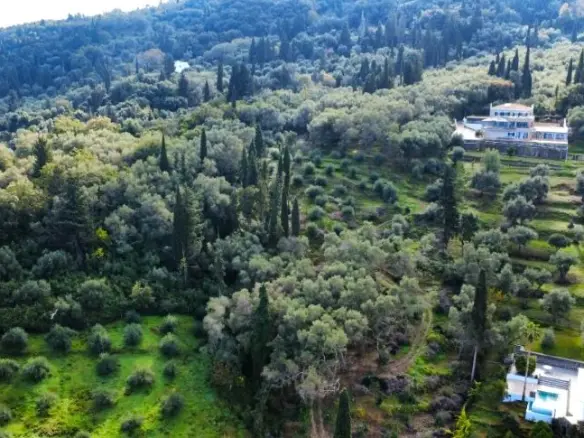 7000 M² Plot Available In Corfu