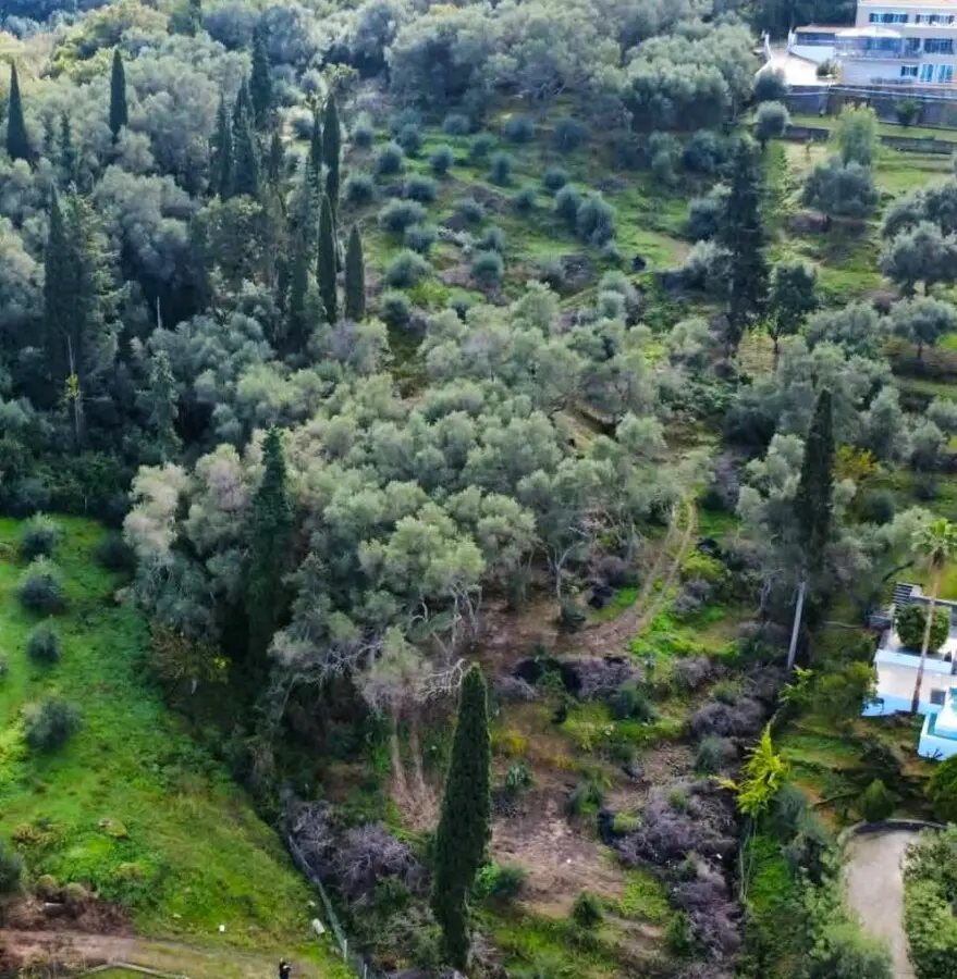 7000 M² Plot Available In Corfu